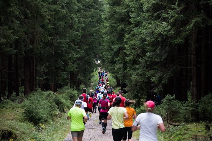 Foto: Běhej lesy